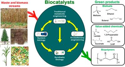 Editorial: Design and application of biocatalysts for biofuel and bio-based material production